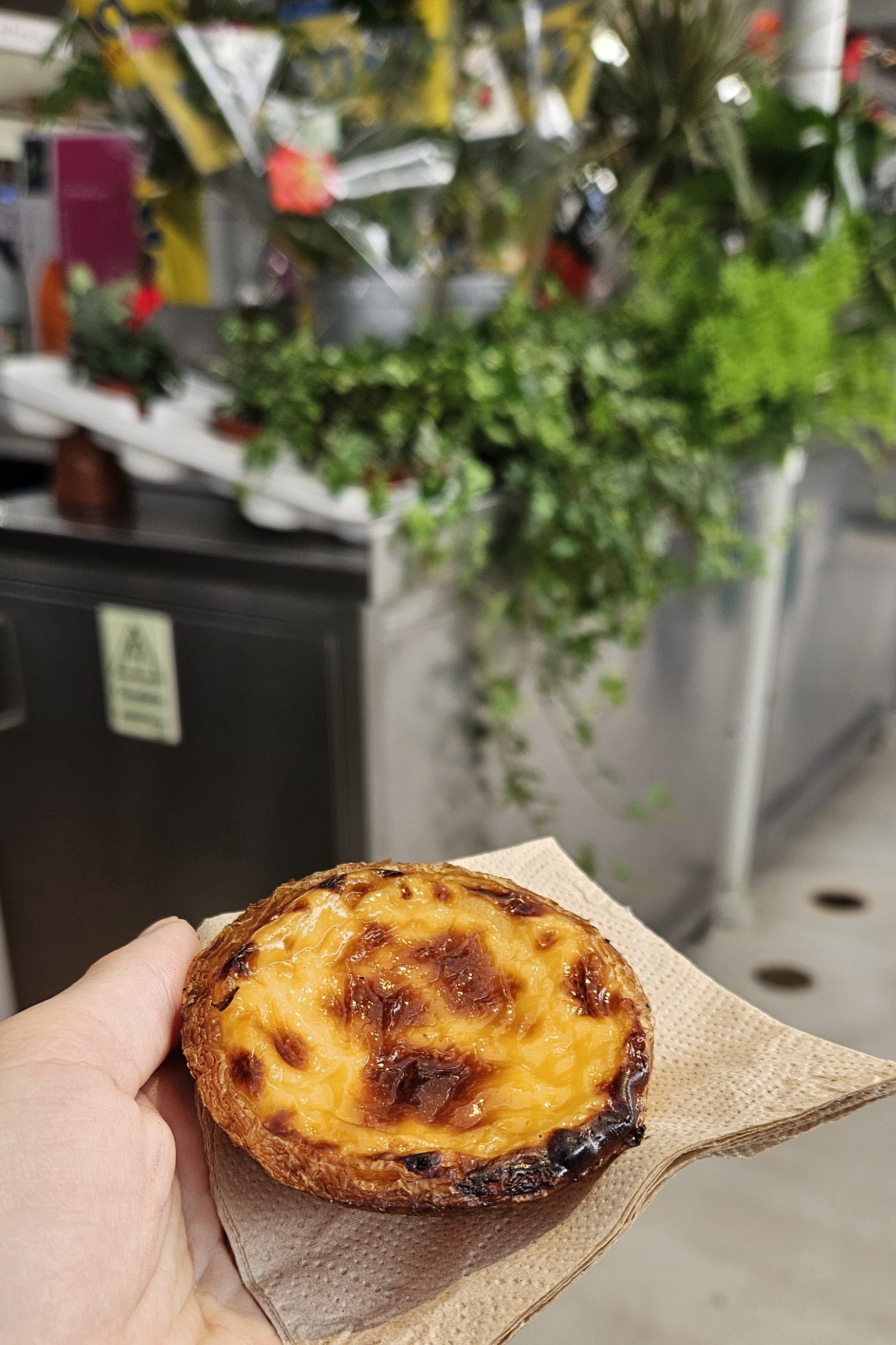 pasteis de nata Porto