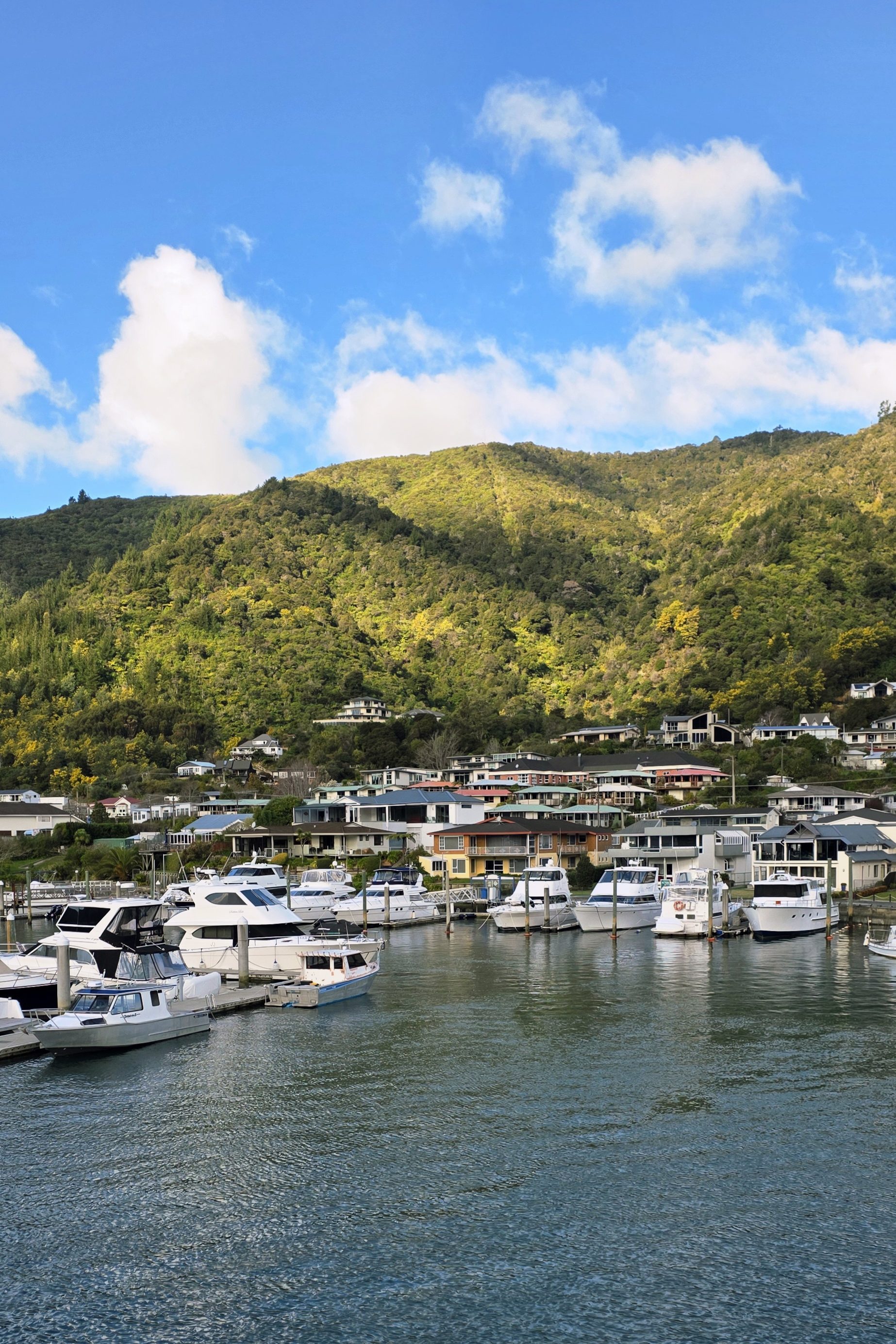 Picton Nouvelle-Zélande