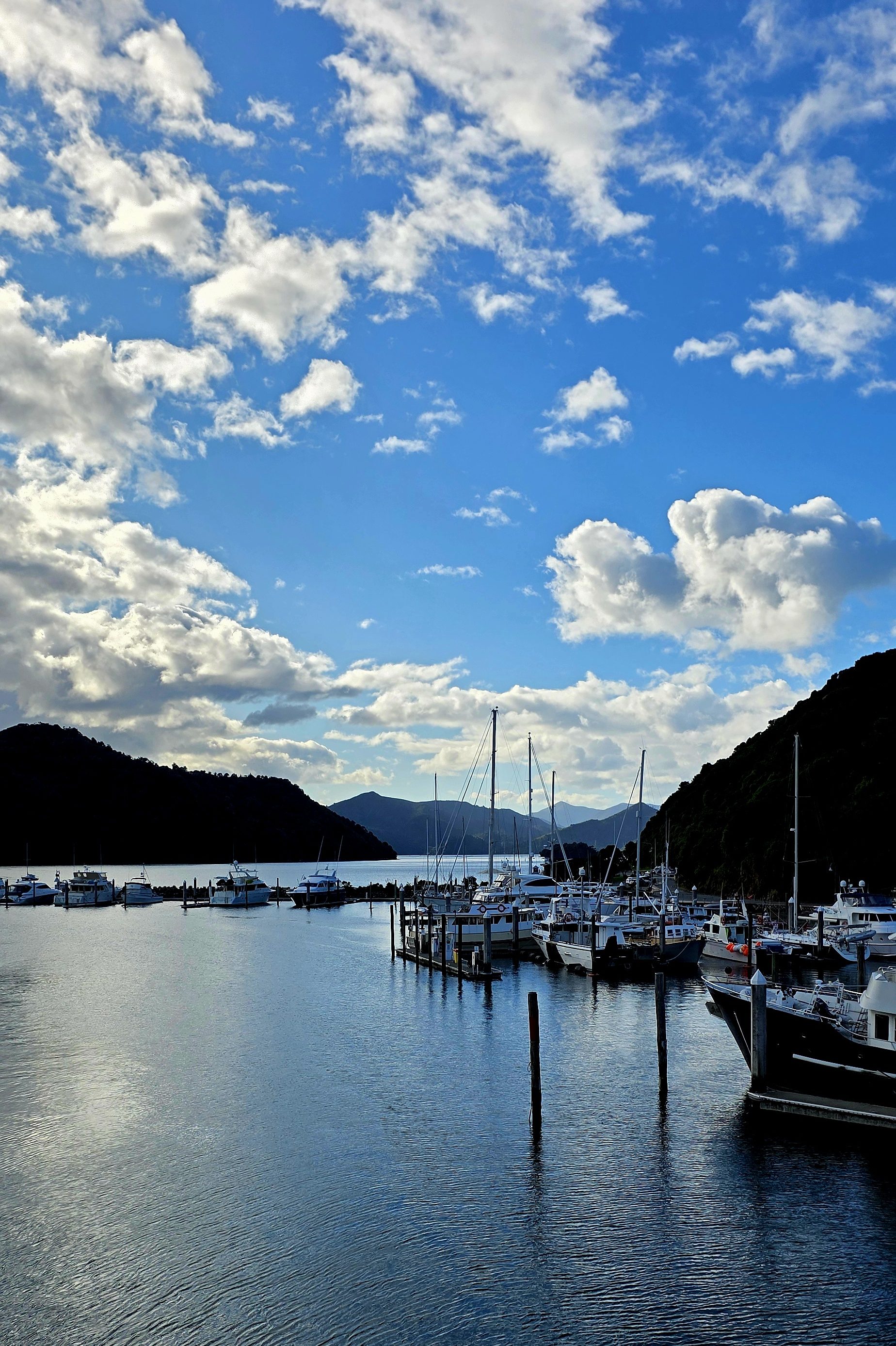Picton ferry île du sud