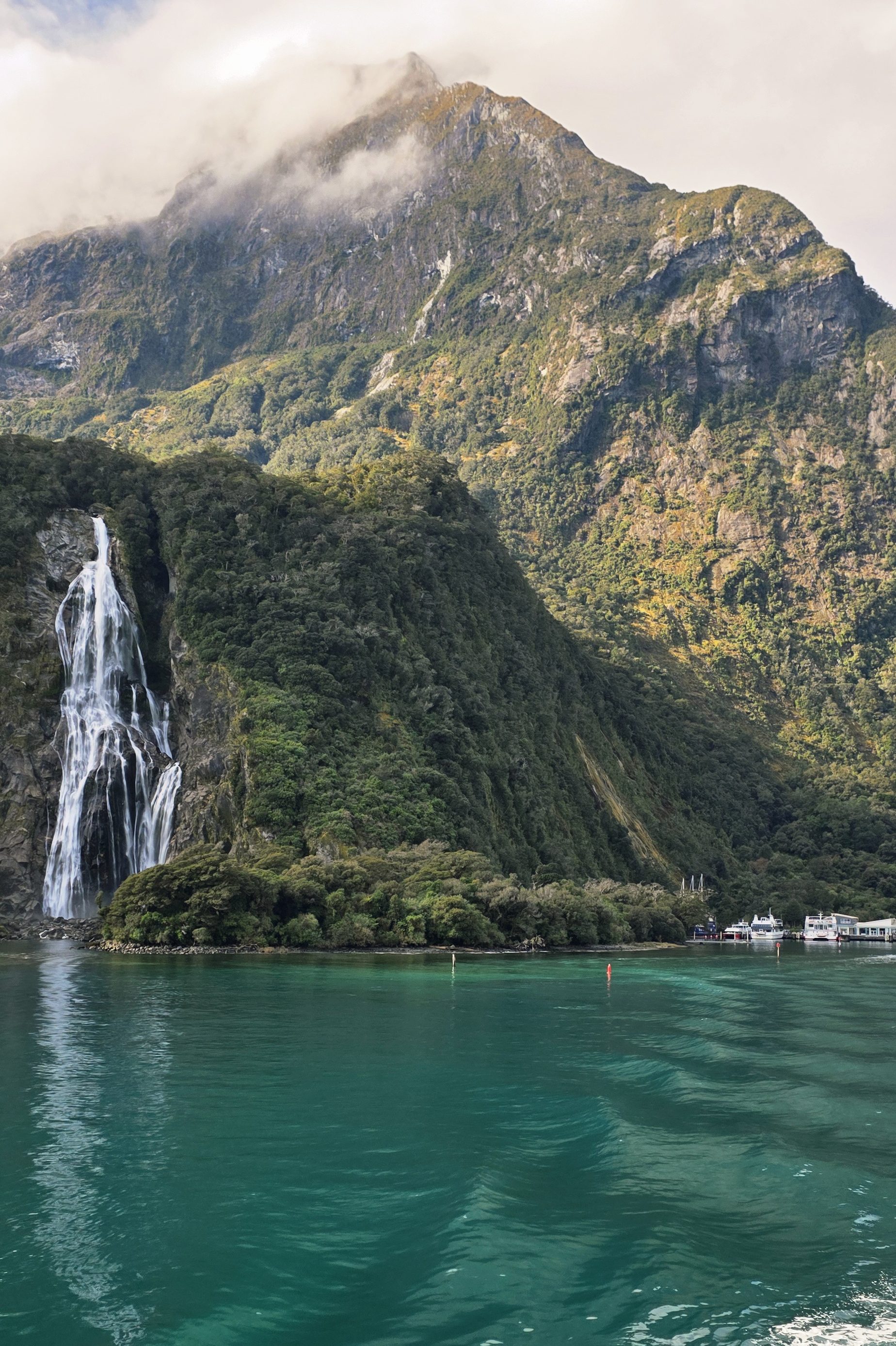 Milfordsound croisière