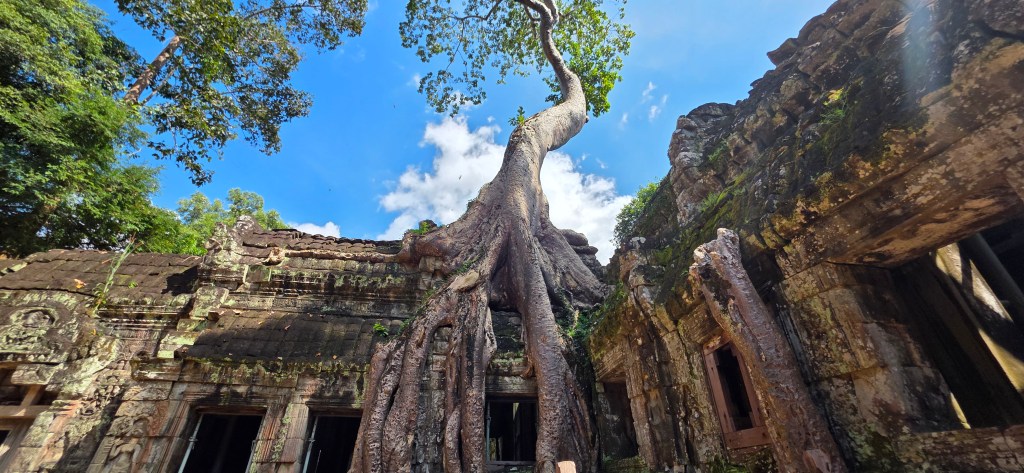 Ta Prohm