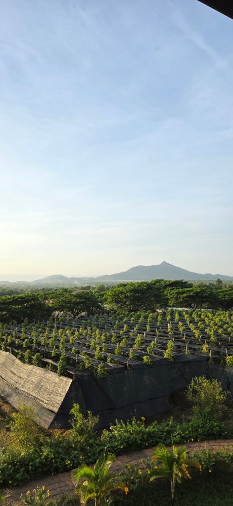 La Plantation Kampot