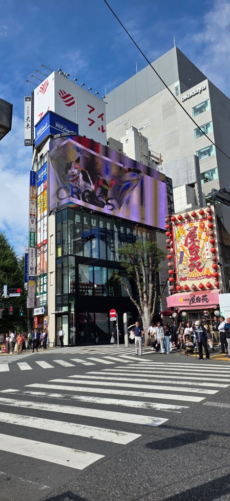 Cat Shinjuku