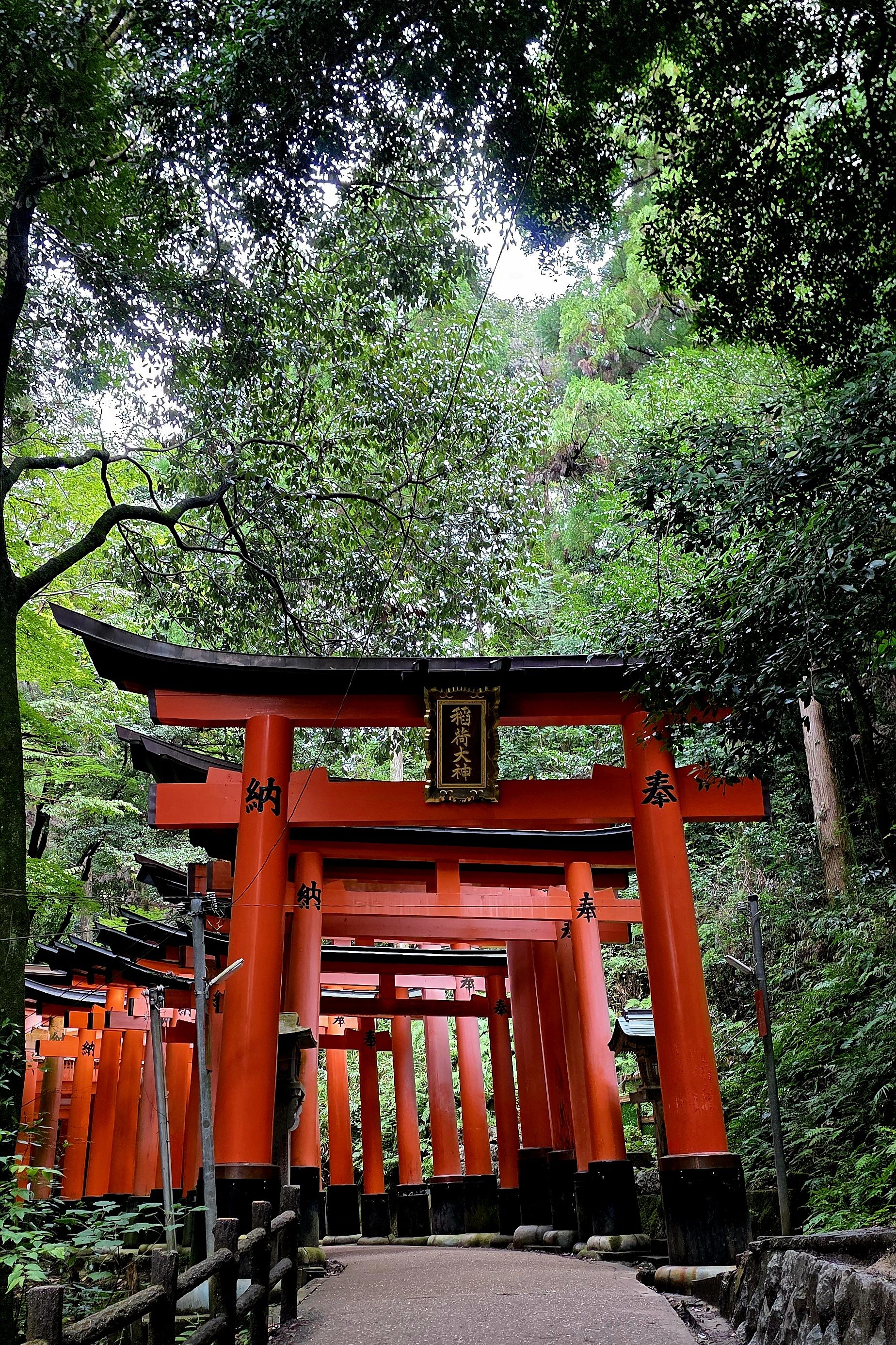 Fushimi Inari Kyoto