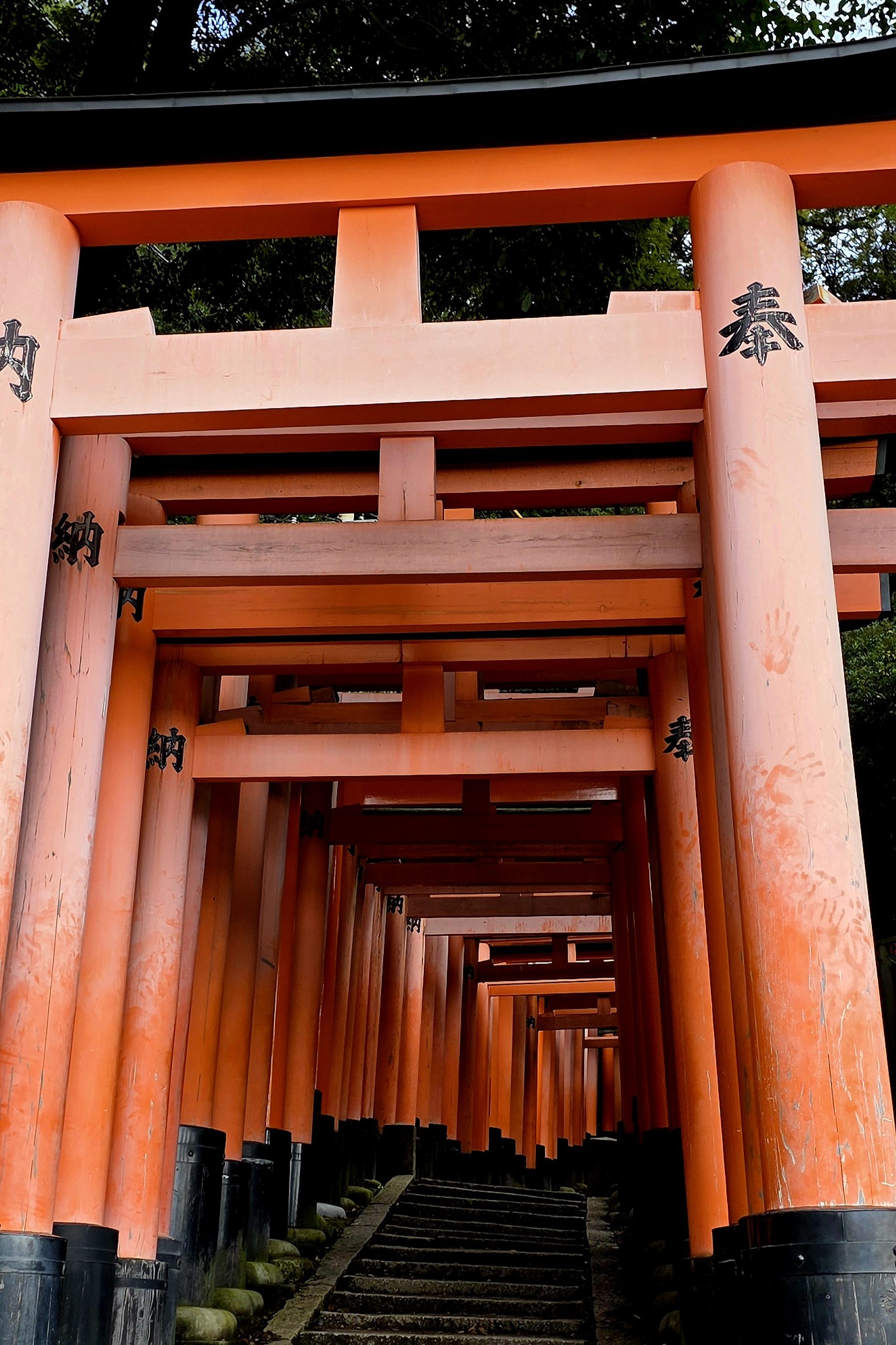 Fushimi Inari Kyoto