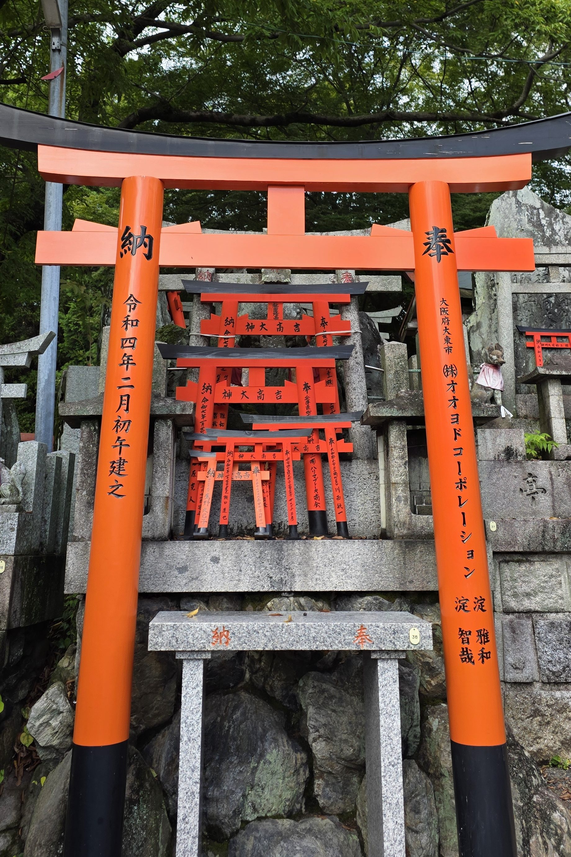 Torii Kyoto
